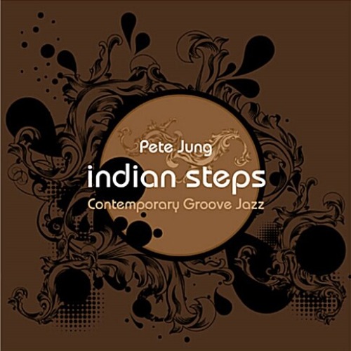 [중고] 피트 정 (Pete Jung) / Indian Steps
