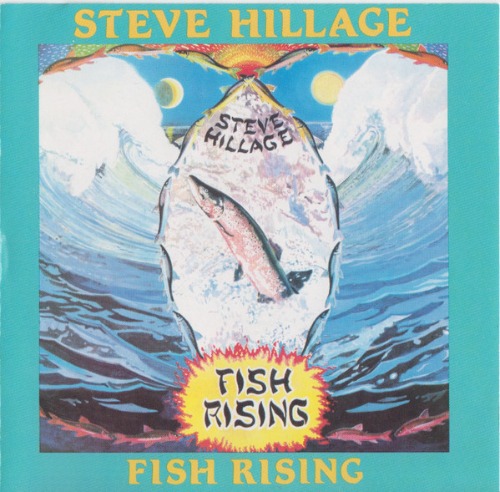 [중고] Steve Hillage / Fish Rising (수입)