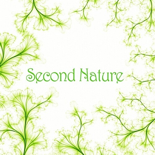 [중고] 세컨 네이처 (Second Nature) / 2집 Second Nature