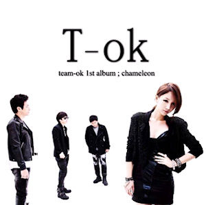 [중고] 티오케이 (T-OK) / Chameleon