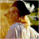 [중고] Goldfrapp / Seventh Tree