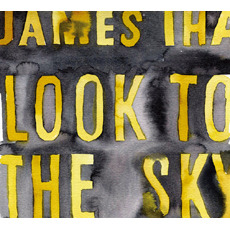 [중고] James Iha / Look To The Sky (Digipack)