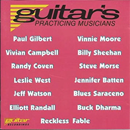 [중고] V.A. / Guitar&#039;s Practicing Musicians