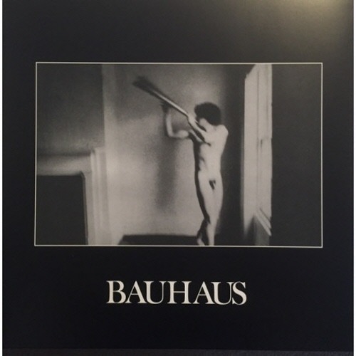 [중고] Bauhaus / In The Flat Field (수입/17track)