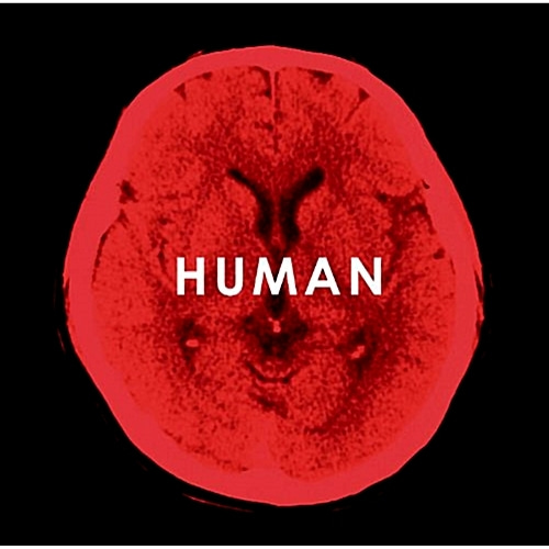 [중고] Fukuyama Masaharu (후쿠야마 마사하루,福山雅治) / Human (2CD/dj0142)