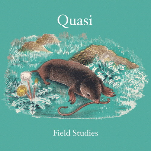 [중고] Quasi / Field Studies (수입)