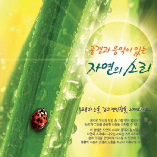 [중고] V.A. / 풍경과 음악이 있는 자연의 소리 (2CD)