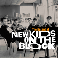 [중고] New Kids On The Block / The Essential New Kids On The Block (2CD/수입)