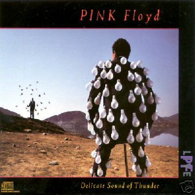 [중고] Pink Floyd / Delicate Sound Of Thunder (2CD/수입)