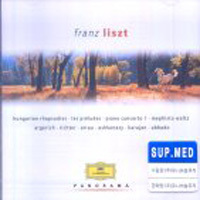 [중고] V.A. / Liszt : Panorama (2CD/수입/4691512)