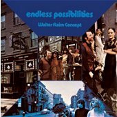 [중고] Walter Raim Concept / Endless Possibilities (Digipack)
