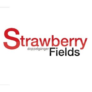 [중고] 스트로베리 필즈 (Strawberry Fields) / Doppelganger (Single/홍보용)