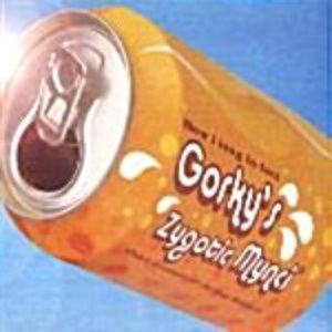 [중고] Gorky&#039;s Zygotic Mynci / How Long To Feel That Summer In My Heart (2CD)