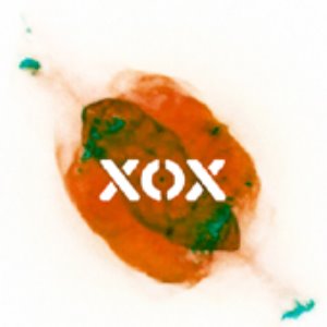 [중고] 엑스오엑스 (XOX) / Chaosmos (CDR)