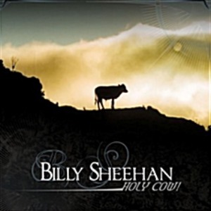 [중고] Billy Sheehan / Holy Cow!