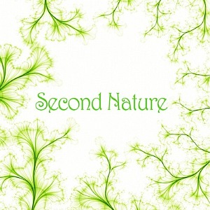 [중고] 세컨 네이처 (Second Nature) / 2집 Second Nature