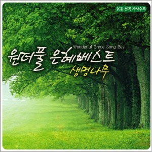 [중고] V.A. / 원더풀 은혜베스트 : 생명나무 (2CD)