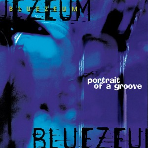[중고] Bluezeum / Portrait Of A Groove Bluezeum (수입)