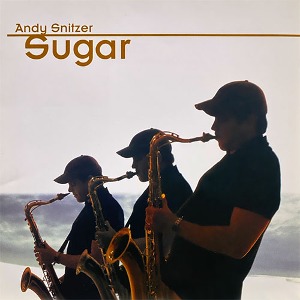 Andy Snitzer / Sugar (미개봉)