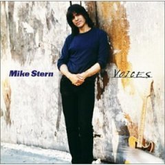 [중고] Mike Stern / Voices (수입)