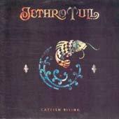 [중고] [LP] Jethro Tull / Catfish Rising