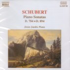 [중고] Jeno Jando / Schubert: Piano Sonatas D.784 &amp; D.894 (수입/8550730)