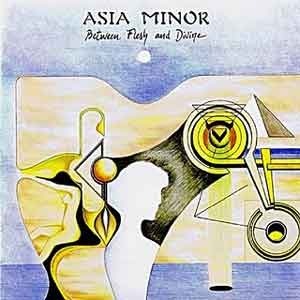 [중고] [LP] Asia Minor / Between Flesh And Divine (srml3005)