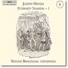 Ronald Brautigam / Haydn : Complete Solo Keyboard Music Vol.6 (수입/미개봉/biscd1095)