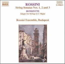Rossini Ensemble / Rossini : String Sonatas, Donizetti : Allegro for Strings (수입/미개봉/8550621)
