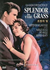 [중고] [DVD] Splendor in the Grass - 초원의 빛