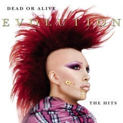 Dead Or Alive / Evolution : The Hits (수입/미개봉)