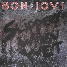 Bon Jovi / Slippery When Wet (SPECIAL TOUR EDITION/미개봉)
