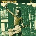 Third Eye Blind / Out Of The Vein (미개봉)