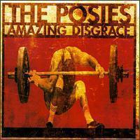Posies / Amazing Disgrace (미개봉)