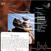 [중고] Rene Jacobs / Bach : Cantates Profanes (2CD/hmx2951544.45)
