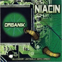 Niacin / Organik (수입/미개봉)