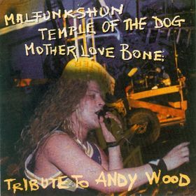 [중고] Temple of the Dog, Mother Love Bone, Malfunkshun / Tribute to Andy Wood (2CD/수입)