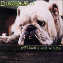Dinosaur Jr. / Whatever&#039;s Cool with Me (수입/미개봉)