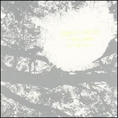 Comets On Fire / Field Recordings From The Sun (수입/미개봉)