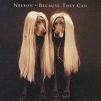 [중고] Nelson / Because They Can