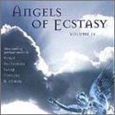 Bayerischen Rundfunkorchester / 환희의 천사 2집 (Angels of Ecstasy, Vol. 2/미개봉/bmgcd9h79)