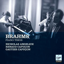 [중고] Nicholas Angelich &amp; Renaud Capucon &amp; Gautier Capucon /  브람스 : 피아노 삼중주 1-3번 (Brahms : Piano Trio Nos.1-3) (2CD/수입/724354565328)