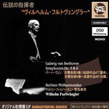 Wilhelm Furtwangler / Beethoven : Symphony No.5 &amp; 6 &#039; Pastorale&#039; (수입/미개봉/cdsm008jt)