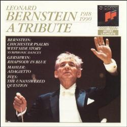 Leonard Bernstein / Leonard Bernstein: A Tribute (미개봉/cck7226)