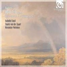 Isabelle Faust &amp; Alexander Melnikov &amp; Teunis van der Zwar / Brahms : Horn Trio (수입/미개봉/hmc901981)