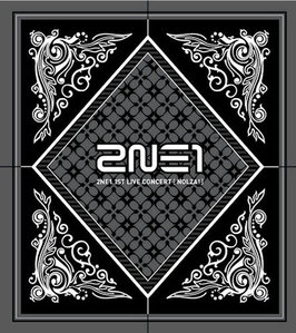 [중고] 투애니원 (2NE1) / Nolza! (1st Live Concert Album)