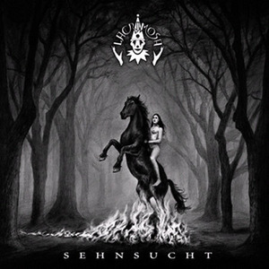 [중고] Lacrimosa / Sehnsucht (갈망)
