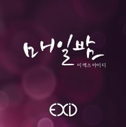 [중고] 이엑스아이디 (EXID) / 매일밤 (Single/홍보용)