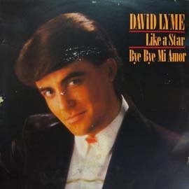 [중고] David Lyme / Like a star - Greatest hits
