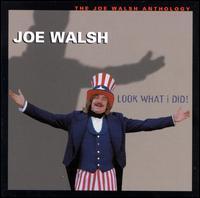 [중고] Joe Walsh / Look What I Did!: The Joe Walsh Anthology (수입/2CD)